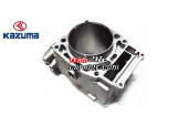 CYLINDER BLOCK  KAZUMA JAGUAR 500CC
