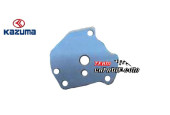 SUPPORT PLATE KAZUMA JAGUAR 500CC
