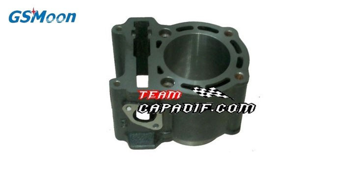 Zylinder Motor GSMOON 260CC Zylinder Motor GSMOON 260CC