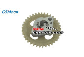 POMPE A HUILE GSMOON 260