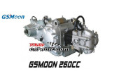 Moteur GSMOON 260C