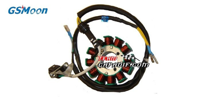 Bobine magnéto stator GSMOON XY260ST-XYKD260-1 -XYKD260-2