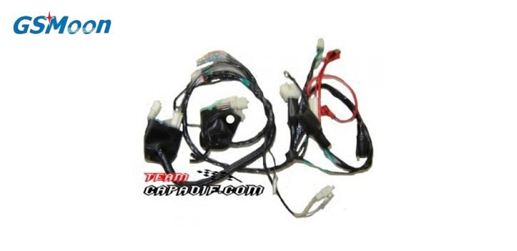 Faisceau electrique principale XY260ST Faisceau electrique principale XY260ST