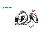 Faisceau electrique principale XY260ST