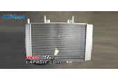 XYST260 Radiator mit Fan
