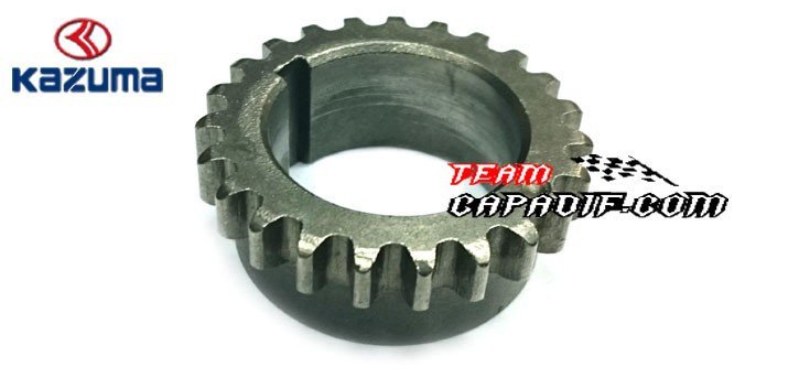 gear drive chain timing Kazuma   Jaguar