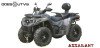 ASSAILLANT ODES ATV 800CC 4X4 homologation T3.