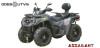 ASSAILLANT ODES ATV 800CC 4X4 approvazione T3.