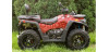 ASSAILLANT ODES ATV 800CC 4X4 approvazione T3.