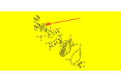 Supporto posteriore cuscinetto 260 GSMOON
