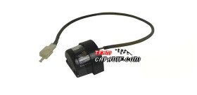 Kinroad 250cc lampe plaque immatriculation arrière
