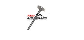 Kinroad 250 cc intake valve