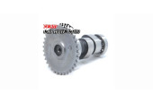 Kinroad  250 cc arbre a came