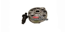 Pompe à huile pour buggy moteur 250