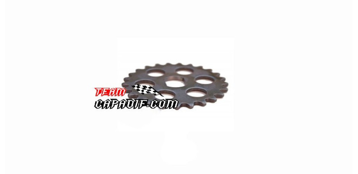 Sprocket chain oil pump for buggy engine 250 cc