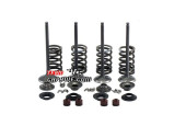 CFMoto 500cc CF188 set Valves