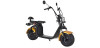 Citycoco Harley Elektroroller EEC