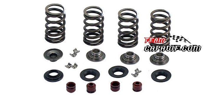 CFMoto CF500 CF600 Valve Spring set