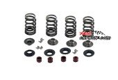 CFMoto CF500 CF600 Valve Spring set