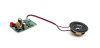 Bluetooth Board + Citycoco Speaker