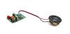 Placa Bluetooth + Altavoz Citycoco
