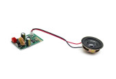 Carte Bluetooth + Haut-parleur Citycoco