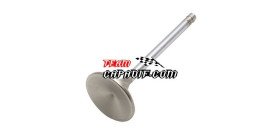 intake valve 