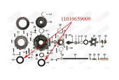 Oil Seal
